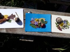 IMG_20190914_105230.jpg